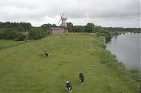 Niedersachsen-Hechthausen-20130624-068.jpg