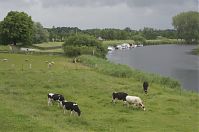 Niedersachsen-Hechthausen-20130624-104.jpg