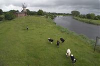 Niedersachsen-Hechthausen-20130624-108.jpg