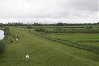 Niedersachsen-Hechthausen-20130624-119.jpg