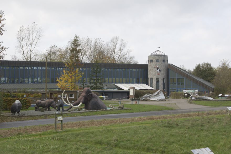 Niedersachsen. Natureum Niederelbe
8. 11. 2014. Niedersachsen. Natureum Niederelbe
Schlüsselwörter: 2014;Natureum;Niedersachsen