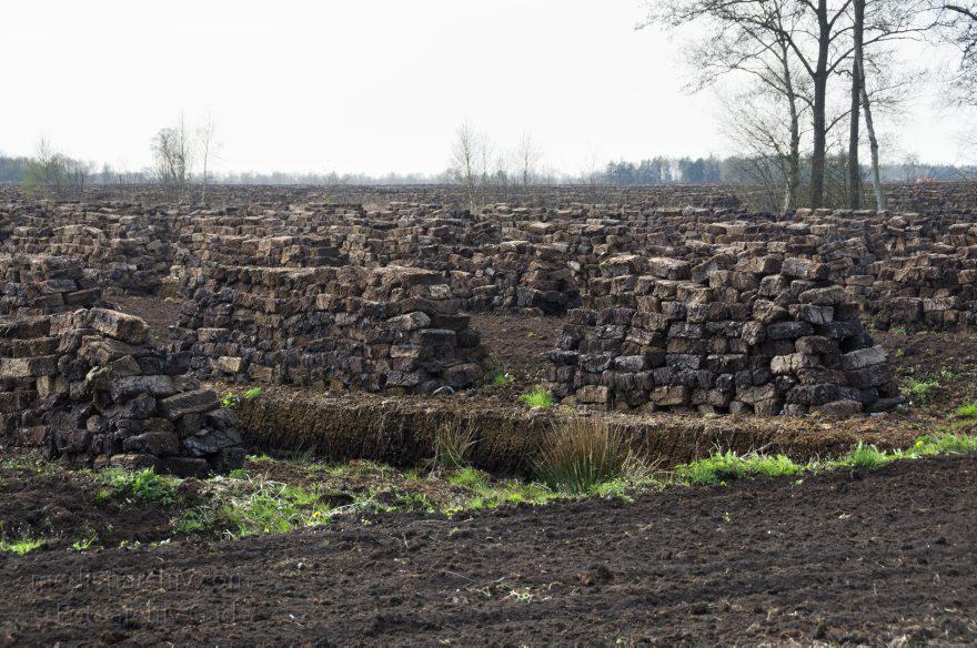 Neulandermoor. Torfabbau im Moor
2. 5. 2013. Niedersachsen. Neulandermoor. Torfabbau im Moor an der Ostener Straße und dem Schüttdamm. Die Hawita-Gruppe erstellt daraus Prdukte für den Gartenbau
Schlüsselwörter: Hawita-Gruppe;Moor;Neulandermoor;Niedersachsen;2013;Torf