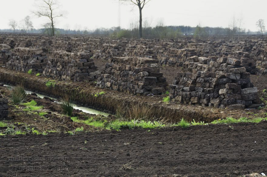 Neulandermoor. Torfabbau im Moor
2. 5. 2013. Niedersachsen. Neulandermoor. Torfabbau im Moor an der Ostener Straße und dem Schüttdamm. Die Hawita-Gruppe erstellt daraus Prdukte für den Gartenbau
Schlüsselwörter: Hawita-Gruppe;Moor;Neulandermoor;Niedersachsen;2013;Torf