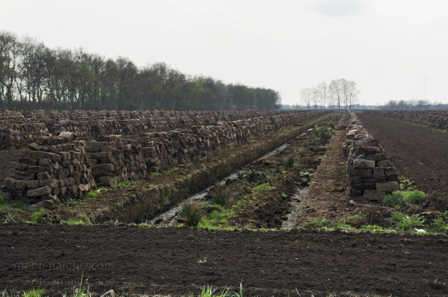 Neulandermoor. Torfabbau im Moor
2. 5. 2013. Niedersachsen. Neulandermoor. Torfabbau im Moor an der Ostener Straße und dem Schüttdamm. Die Hawita-Gruppe erstellt daraus Prdukte für den Gartenbau
Schlüsselwörter: Hawita-Gruppe;Moor;Neulandermoor;Niedersachsen;2013;Torf