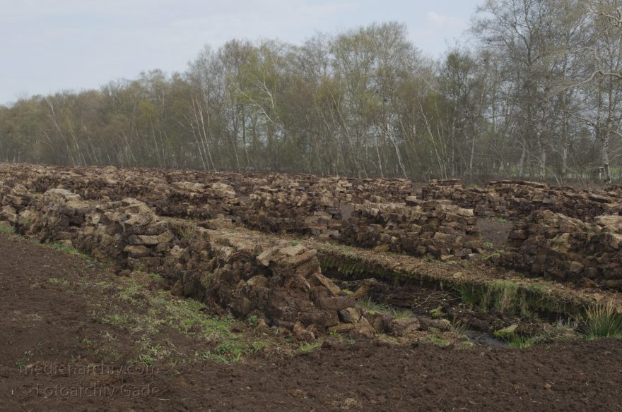 Neulandermoor. Torfabbau im Moor
2. 5. 2013. Niedersachsen. Neulandermoor. Torfabbau im Moor an der Ostener Straße und dem Schüttdamm. Die Hawita-Gruppe erstellt daraus Prdukte für den Gartenbau
Schlüsselwörter: Hawita-Gruppe;Moor;Neulandermoor;Niedersachsen;2013;Torf