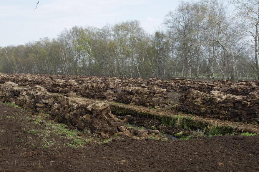 Neulandermoor. Torfabbau im Moor
2. 5. 2013. Niedersachsen. Neulandermoor. Torfabbau im Moor an der Ostener Straße und dem Schüttdamm. Die Hawita-Gruppe erstellt daraus Prdukte für den Gartenbau
Schlüsselwörter: Hawita-Gruppe;Moor;Neulandermoor;Niedersachsen;2013;Torf