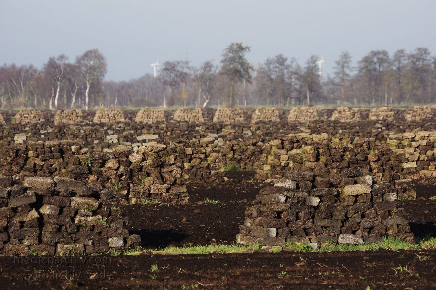 Torf aus dem Moor
11. 11. 2014. Niedersachsen. Neulandermoor. Torfgewinnung. Erden- & Substratwerk Tabeling.
Schlüsselwörter: Neulandermoor;Niedersachsen;2014;Torf