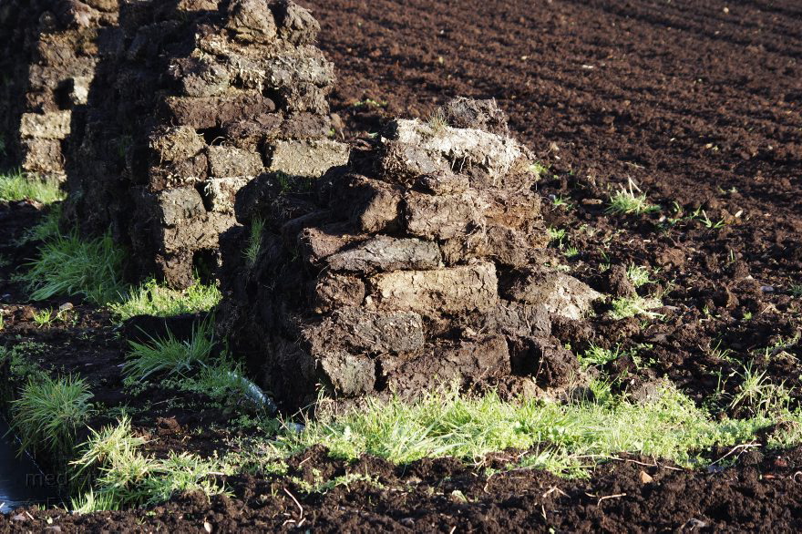 Torf aus dem Moor
11. 11. 2014. Niedersachsen. Neulandermoor. Torfgewinnung. Erden- & Substratwerk Tabeling.
Schlüsselwörter: Neulandermoor;Niedersachsen;2014;Torf