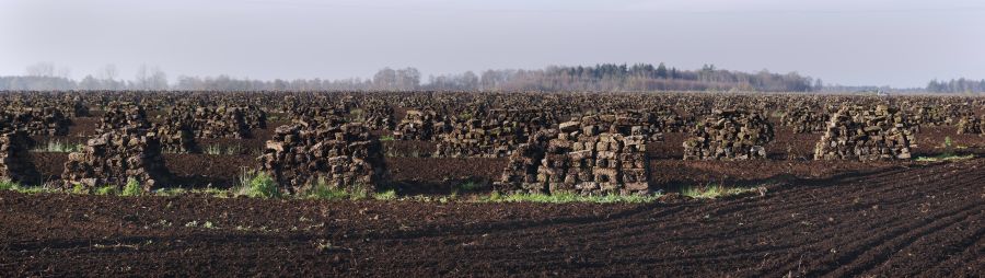 Niedersachsen-Neulandermoor-Torf-20141111-23p.jpg