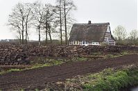 Niedersachsen-Neulandermoor-20130502-102.jpg