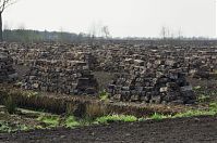 Niedersachsen-Neulandermoor-20130502-103.jpg