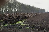 Niedersachsen-Neulandermoor-20130502-105.jpg