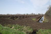 Niedersachsen-Neulandermoor-20130502-110.jpg
