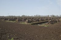 Niedersachsen-Neulandermoor-20130502-113.jpg