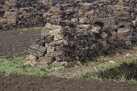 Niedersachsen-Neulandermoor-20130502-117.jpg