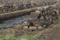 Niedersachsen-Neulandermoor-20130502-118.jpg