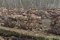Niedersachsen-Neulandermoor-20130502-121.jpg