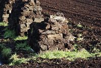 Niedersachsen-Neulandermoor-Torf-20141111-20.jpg