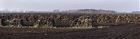 Niedersachsen-Neulandermoor-Torf-20141111-23p.jpg