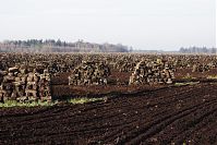 Niedersachsen-Neulandermoor-Torf-20141111-26.jpg