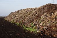 Niedersachsen-Neulandermoor-Torf-20141111-27.jpg