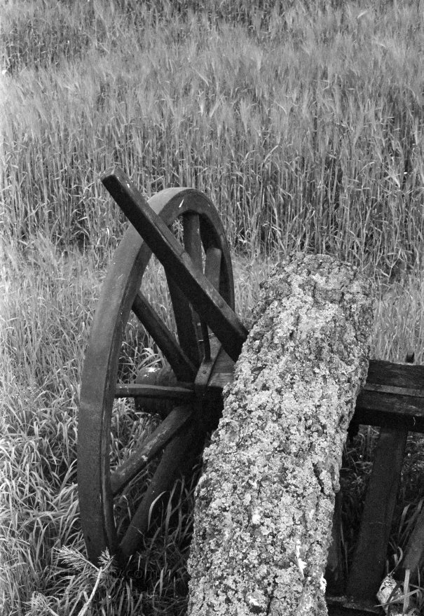 Niedersachsen. Nordheide.
29. 5. 1987. Niedersachsen. Nordheide
Schlüsselwörter: Deutschland;Germany;Holzrad;Niedersachsen;Nordheide;1987;Wagenrad
