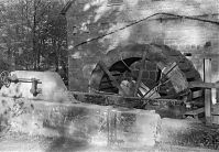 Niedersachsen-19870529-022.jpg