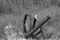 Niedersachsen-19870529-024.jpg