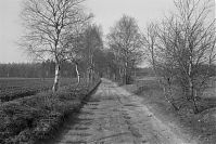 Niedersachsen-19940403-007.jpg