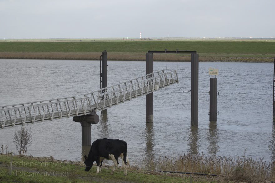 Niedersachsen. Mündung der Oste an der Elbe
8. 11. 2014. Niedersachsen. Mündung der Oste. Der Fluss fließt in die Elbe.
Schlüsselwörter: 2014;Anlegestelle;Deich;Fluss;Mündung;Niedersachsen;Oste