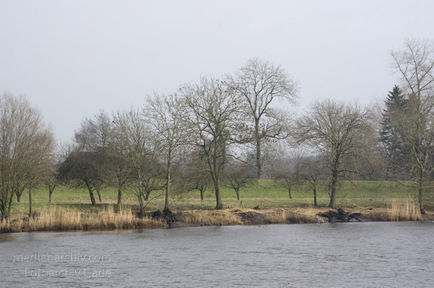 Osten
6. 2. 2013. Niedersachsen. Osten (gehört zur Samtgemeinde Hemmoor) Fluss Oste. Deich
Schlüsselwörter: Deich;Deutschland;Fluss;Germany;Hemmoor;Niedersachsen;Oste;2013;Osten