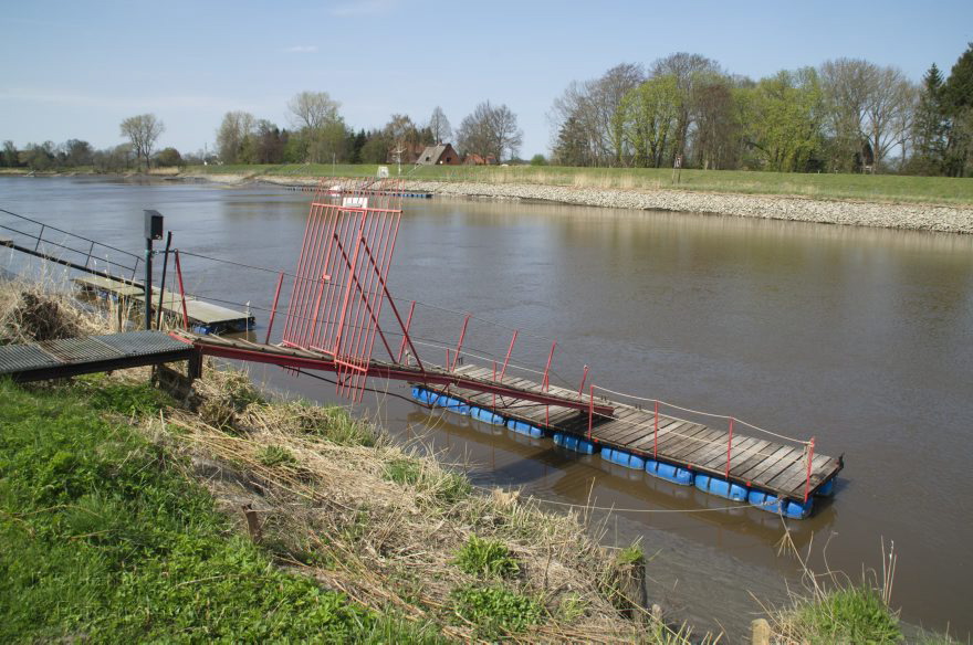 Osten-Hemmoor. Fluss Oste. Stege für Sportboote
2. 5. 2013. Niedersachsen. Osten-Hemmoor. Fluss Oste. Stege für Sportboote. Ebbe. Schlickgürtel am Ufer.
Schlüsselwörter: Boote;Deich;Ebbe;Fluss;Hemmoor;Liegeplatz;Niedersachsen;Oste;Osten;2013;Stege