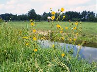 Niedersachsen-Osten-19930530-47.jpg