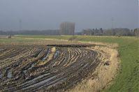 Niedersachsen-Osten-20130206-124.jpg