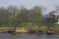 Niedersachsen-Osten-20130206-127.jpg