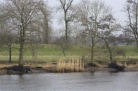 Niedersachsen-Osten-20130206-136.jpg