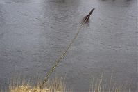 Niedersachsen-Osten-20130206-138.jpg