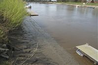 Niedersachsen-Osten-20130502-228.jpg