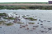 Niedersachsen-Wilhelmshaven-198903-31.jpg