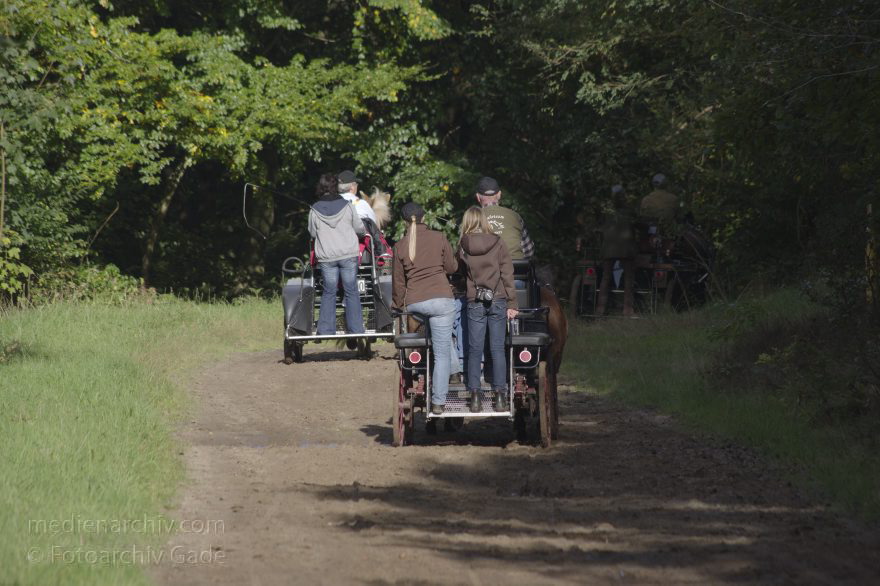 Wingst. Wald. Pferde
19. 10. 2014. Niedersachsen. Wingst. Wald. Pferde. Kutsche
Schlüsselwörter: Kutsche;Niedersachsen;Pferde;2014;Wingst