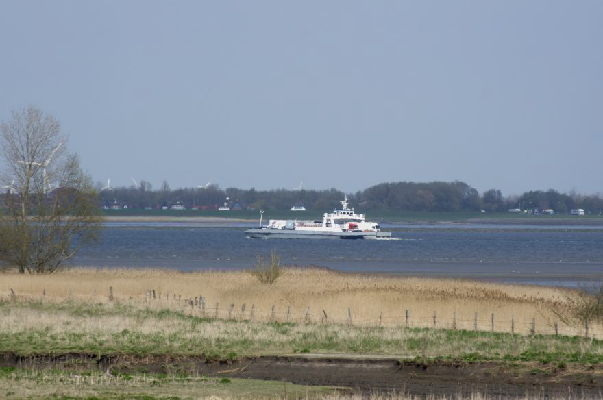 Wischhafen. Elbefähre
2. 5. 2013. Niedersachsen. Wischhafen. Elbefähre. Fluss Elbe. Autofähre. Schiffe. Schifffahrt
Schlüsselwörter: Autofähre;Elbe;Elbfähre;Fluss;Fähre;Niedersachsen;Schiffe;Schifffahrt;2013;Wischhafen