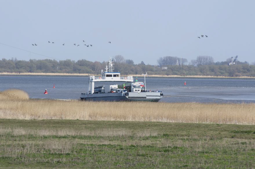 Wischhafen. Elbefähre
2. 5. 2013. Niedersachsen. Wischhafen. Elbefähre. Fluss Elbe. Autofähre. Schiffe. Schifffahrt
Schlüsselwörter: Autofähre;Elbe;Elbfähre;Fluss;Fähre;Niedersachsen;Schiffe;Schifffahrt;2013;Wischhafen