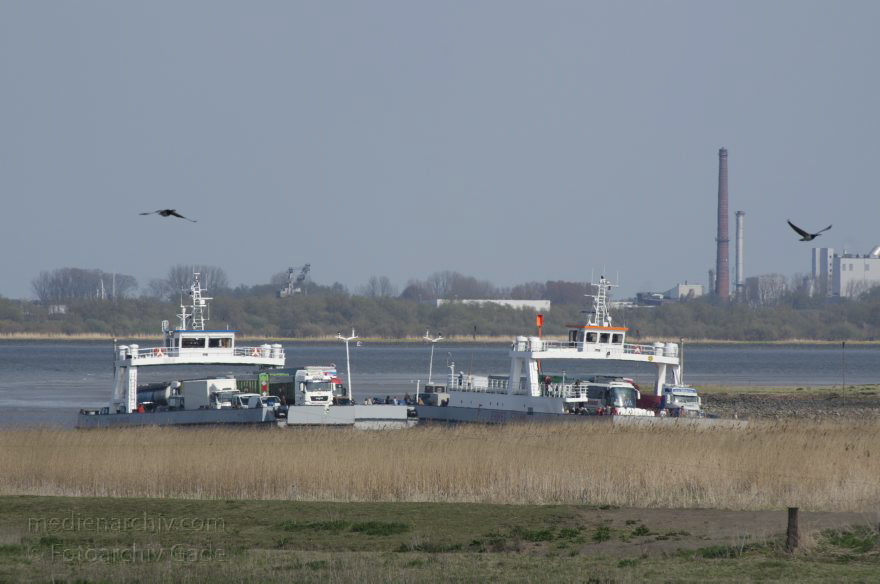 Wischhafen. Elbefähre
2. 5. 2013. Niedersachsen. Wischhafen. Elbefähre. Fluss Elbe. Autofähre. Schiffe. Schifffahrt
Schlüsselwörter: Autofähre;Elbe;Elbfähre;Fluss;Fähre;Niedersachsen;Schiffe;Schifffahrt;2013;Wischhafen