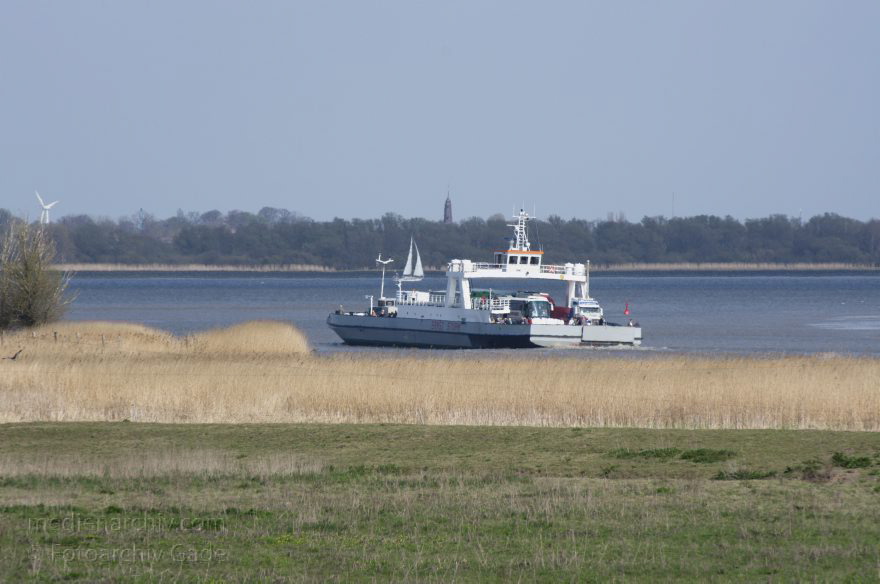 Wischhafen. Elbefähre
2. 5. 2013. Niedersachsen. Wischhafen. Elbefähre. Fluss Elbe. Autofähre. Schiffe. Schifffahrt
Schlüsselwörter: Autofähre;Elbe;Elbfähre;Fluss;Fähre;Niedersachsen;Schiffe;Schifffahrt;2013;Wischhafen