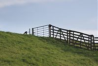 Niedersachsen-Wischhafen-20141111-26.jpg