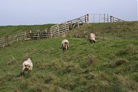 Niedersachsen-Wischhafen-20141111-29.jpg