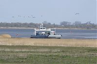 Niedersachsen-Wischhafen-Faehre-20130502-184.jpg