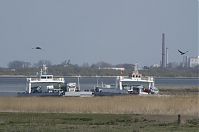 Niedersachsen-Wischhafen-Faehre-20130502-186.jpg