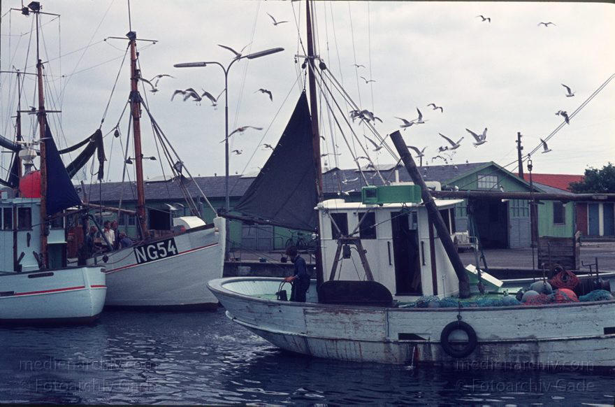 Juli 1972. Dänemark. Mön. Møn. Ostseeinsel.  Fischerboote im Hafen.
Juli 1972. Dänemark. Mön. Møn. Ostseeinsel.  Fischerboote im Hafen. Möven
Schlüsselwörter: 1972;Boot;Dänemark;Fischerboote;Hafen;Meer;Moen;Mön;Möven;Møn;Ostsee;Schiffe;Vogel;Vögel