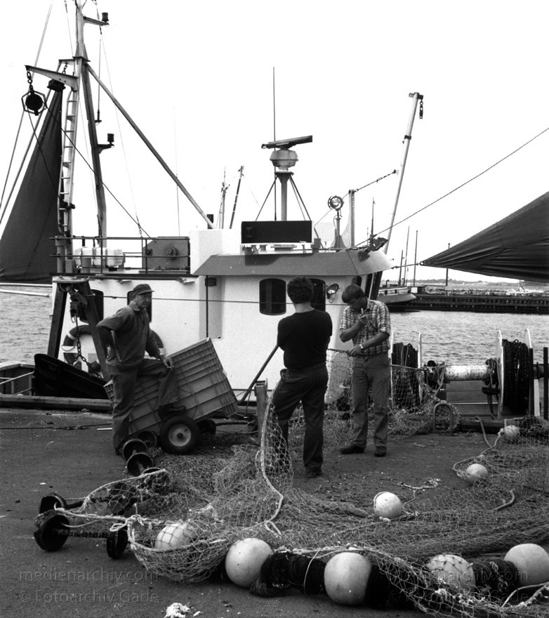 Dänemark. Mön. Fischerboote in Ulfshale
August 1988. Insel Mön. Dänemark. Fischerboote im Hafen von Ulfshale. Fischer beim Reparieren eines Netzes
Schlüsselwörter: 1988;Boote;Dänemark;Fischer;Hafen;Insel;Mön;Netze;Ostsee;Schiff